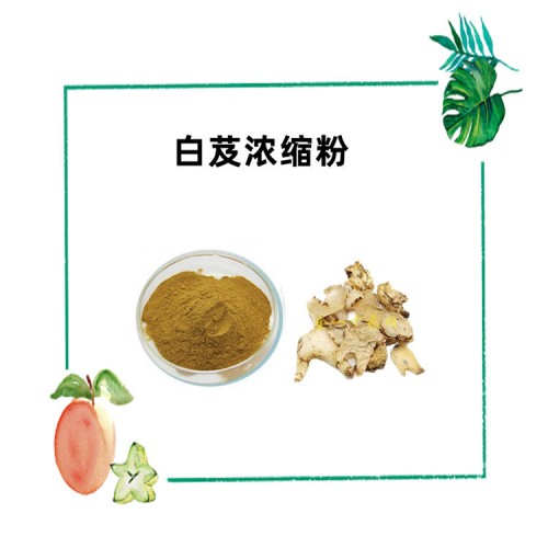 白芨浓缩粉 浓缩粉末 全水溶 可发样品 随货带报告