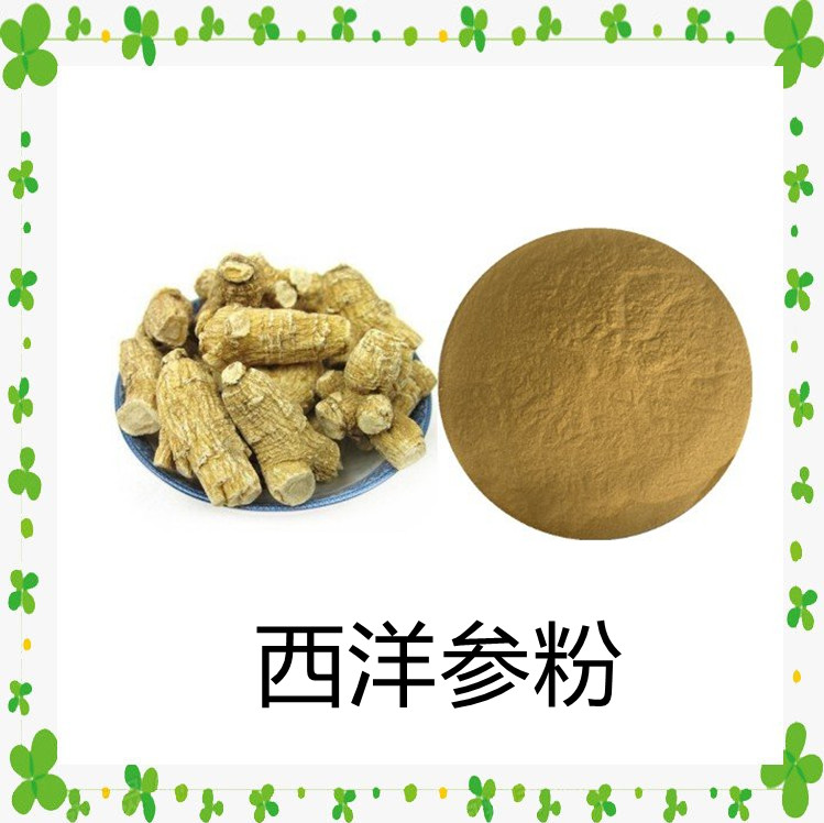 西洋参粉 斯诺特生物 源头厂家  多种规格长期供应