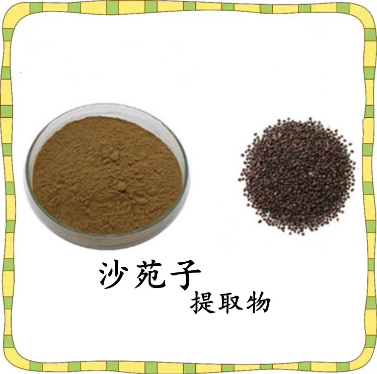 沙苑子提取物 10:1规格可按需定制 品质优良 资质齐全