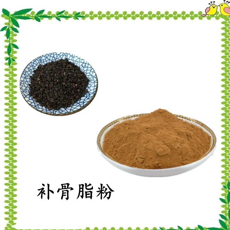 补骨脂粉 源头厂家 规格齐全 可定制 2kg起订