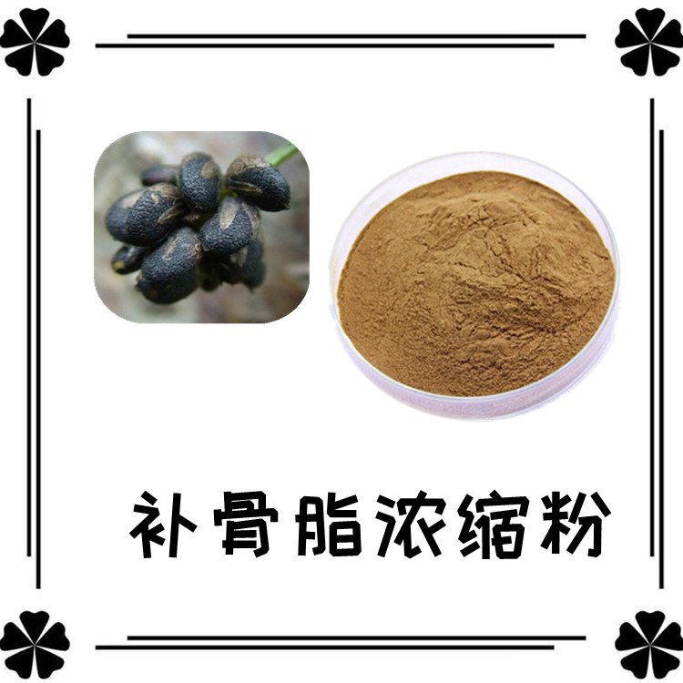 补骨脂浓缩粉 比例浓缩萃取 粉末流动性好 随货带报告