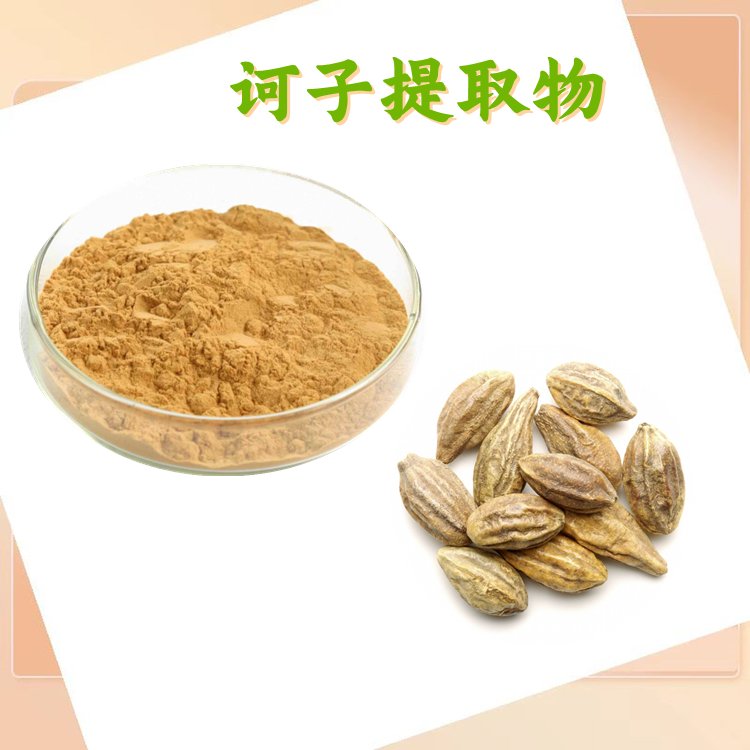 诃子提取物 粉末流动性好 库存充足 资质齐全 纸板桶包装