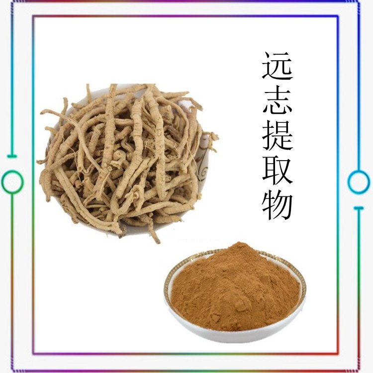 远志提取物 水溶性好 源头供应 多种规格  库存充足