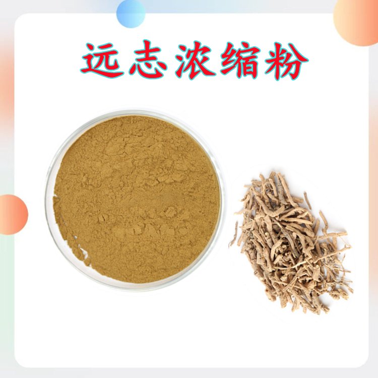 远志浓缩粉 比例浓缩萃取 多种规格 粉质细腻全水溶 可定制