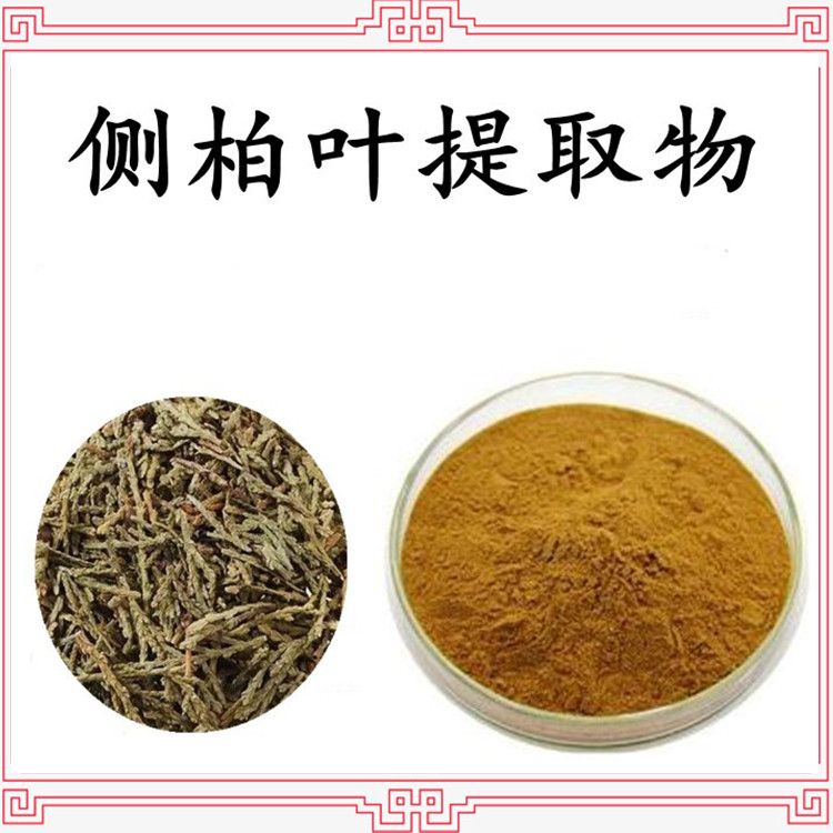 侧柏叶提取物 精选原料  粉末细腻 质量稳定 斯诺特生物