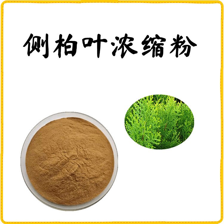 侧柏叶浓缩粉 植物萃取 浓缩粉末 全水溶无结块 含税含运
