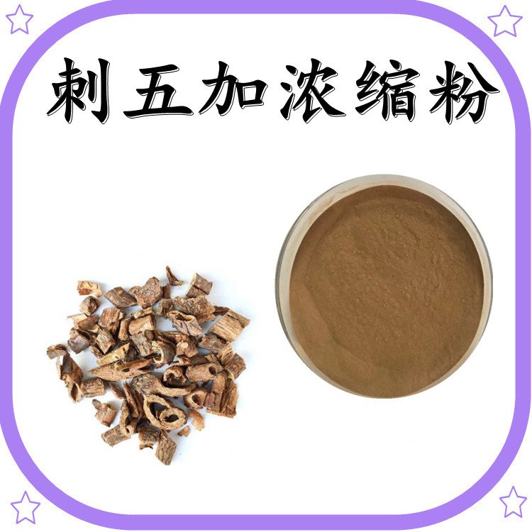刺五加浓缩粉 植提厂家 可定制 长期供应 资质齐全
