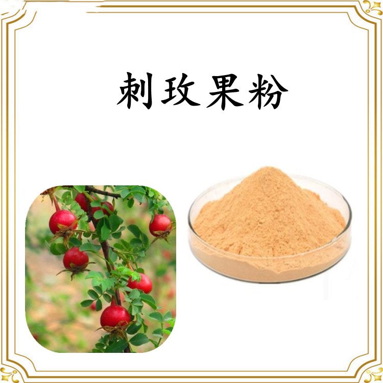 刺玫果粉 多规格速溶粉 资质齐全 源头厂家 可定制