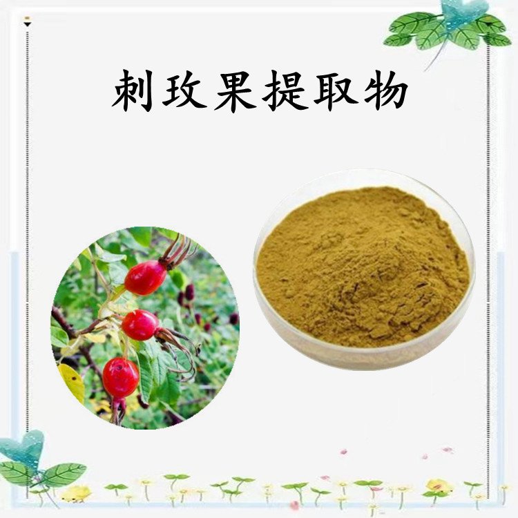 刺玫果浓缩粉 多种规格 浓缩粉末 品质优良 长期供应 包邮