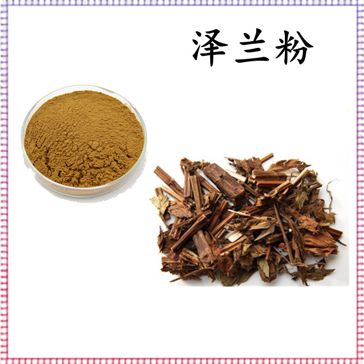 泽兰粉 粉末均匀无肉眼可见杂质 多种规格 库存充足