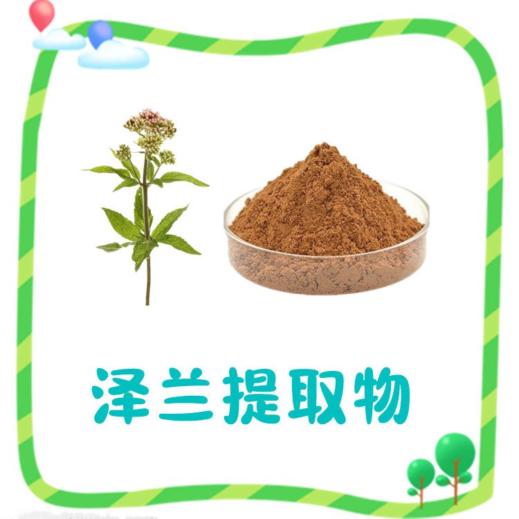 泽兰提取物 源头供应 全水溶无结块 品质优良 随货带报告