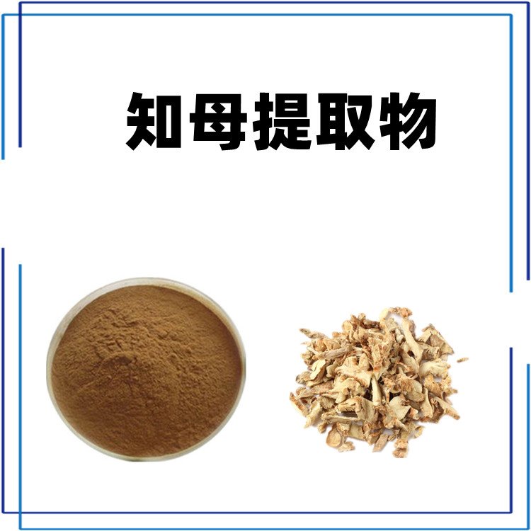 知母提取物 水溶性好 多比例可定制 质量稳定 斯诺特生物