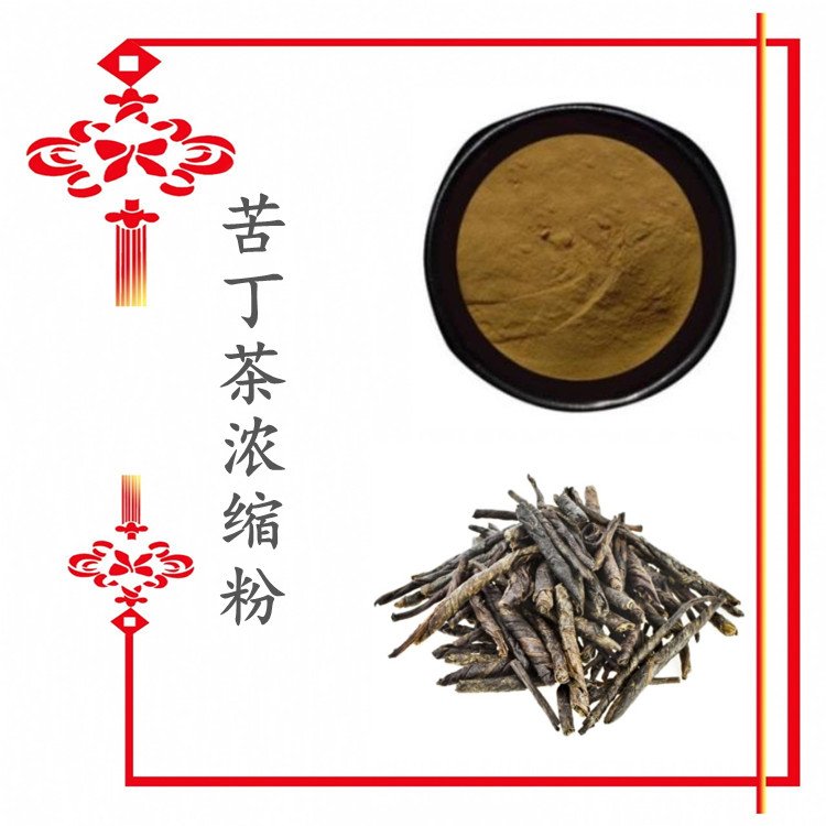 苦丁茶浓缩粉 粉末流动性好 规格齐全 长期供应 资质齐全
