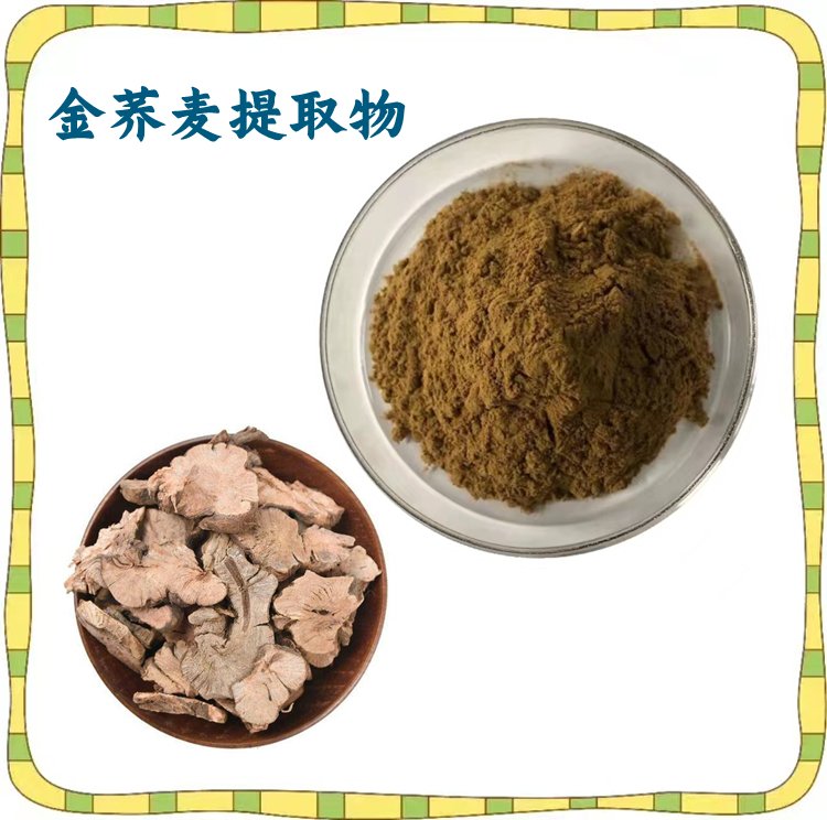 金荞麦提取物 斯诺特生物 植提厂家 品质优良 长期供应