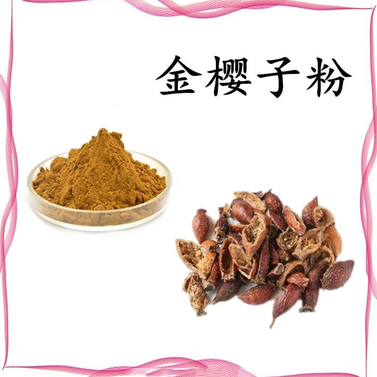斯诺特生物 金樱子粉 提取物 浓缩粉 库存充足 资质齐全
