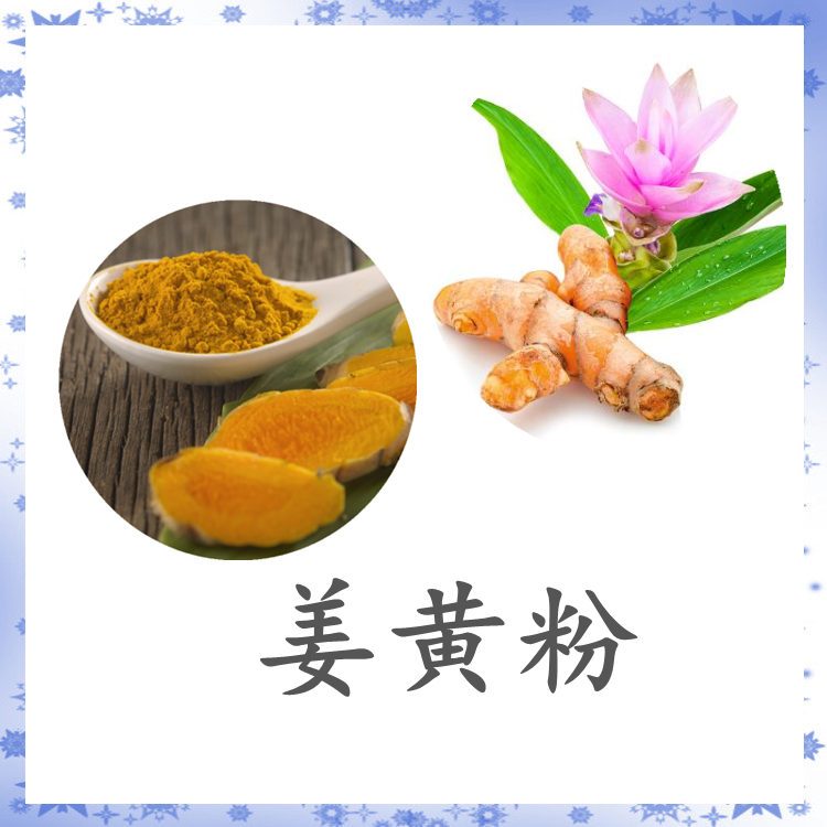 姜黄粉  斯诺特生物 植提厂家 规格多种 长期供应