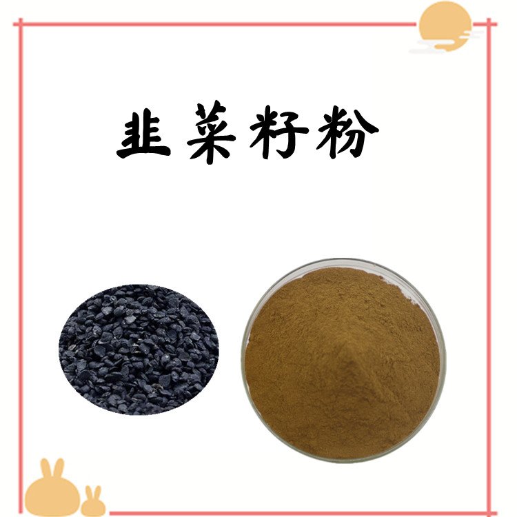 韭菜籽粉 韭菜籽提取物 斯诺特生物 源头厂家 长期供应