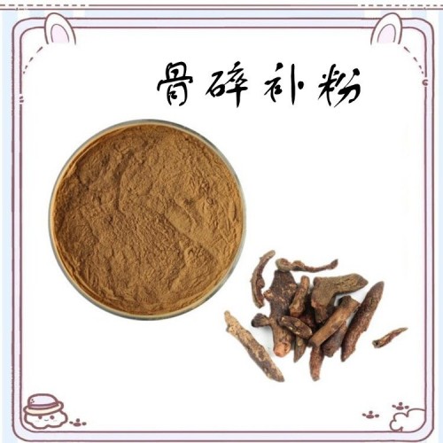 骨碎补粉 骨碎补浓缩粉 高比例浓缩萃取 长期供应 资质齐全