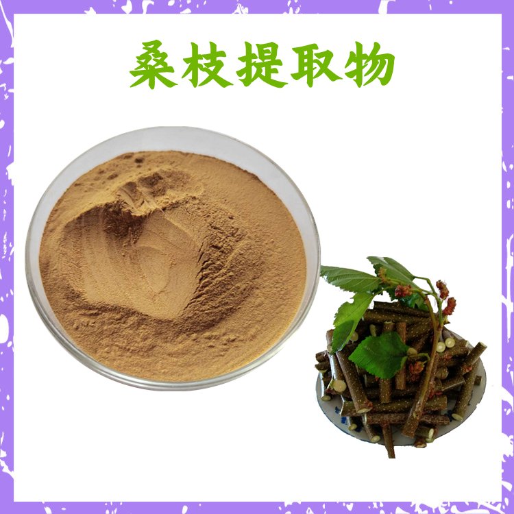 桑枝浓缩粉 斯诺特生物 浓缩萃取 过100目 长期供应