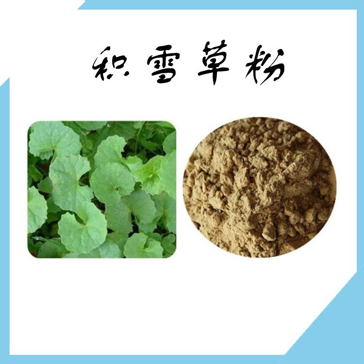 积雪草粉 不添加任何防腐剂 粉末均匀 多种规格 可定制