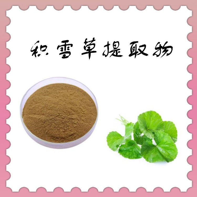 积雪草提取物  植物萃取 规格多种 水溶性好 可发样品