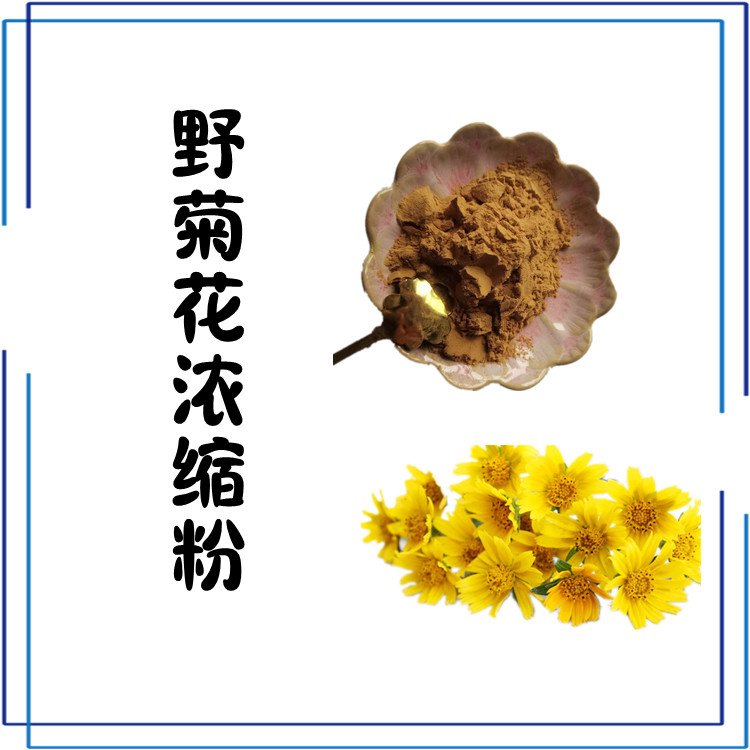 野菊花浓缩粉 源头供应多种规格 可定制  支持拿样