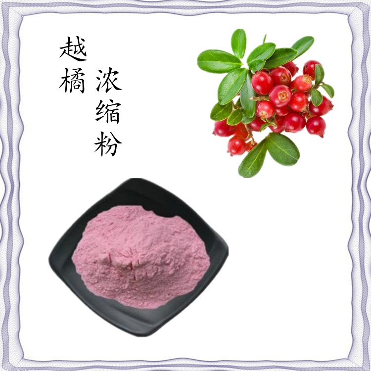 越橘浓缩粉 比例浓缩萃取 口感好 1㎏起订  含税含运