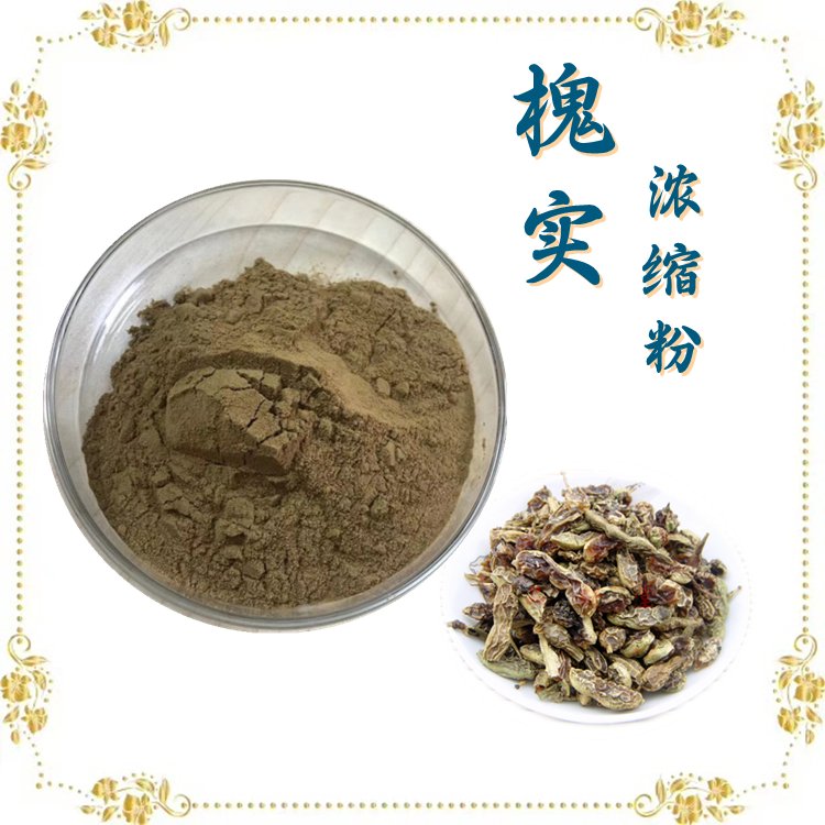 槐实浓缩粉 固体饮料原料 喷雾干燥工艺  支持拿样