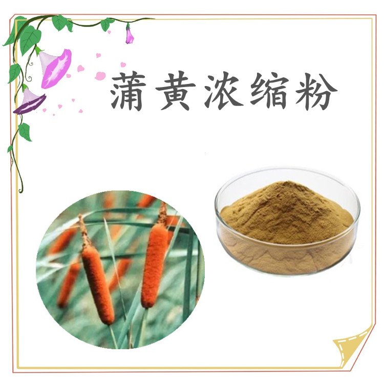 蒲黄浓缩粉 喷雾干燥工艺 粉质细腻 品质优良 源头厂家