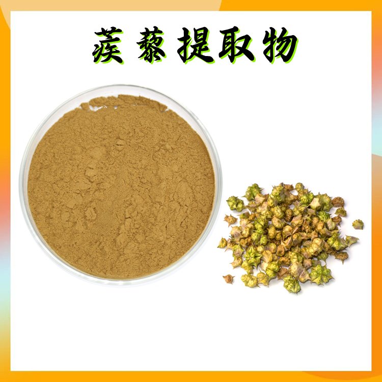 蒺藜提取物 粉末细腻 无肉眼可见杂质 库存充足 品质稳定