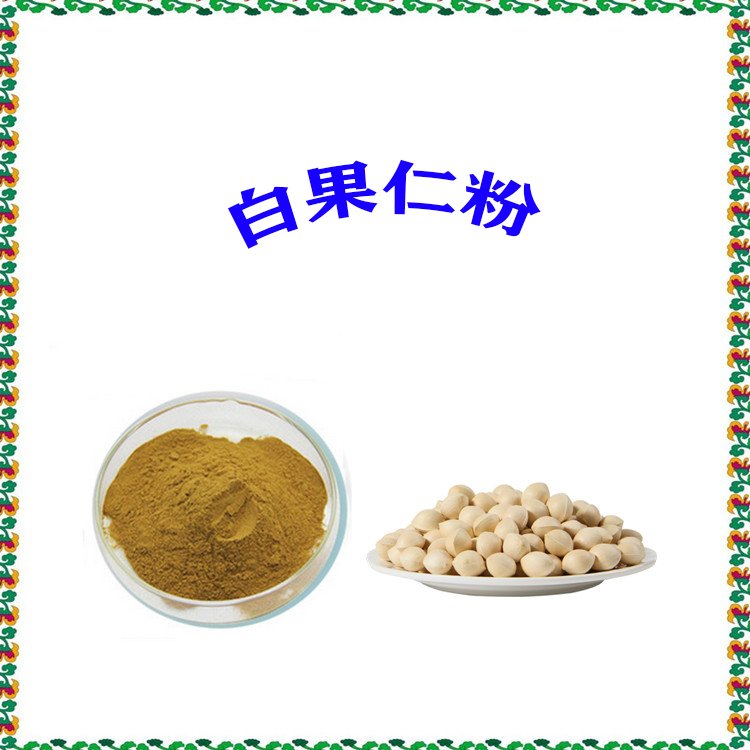 白果仁粉 10:1浓缩萃取 80目过筛 多规格 可定制