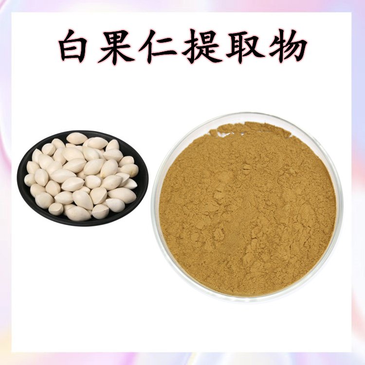 白果仁提取物 粉末细腻流动性好 规格多种 现货包邮