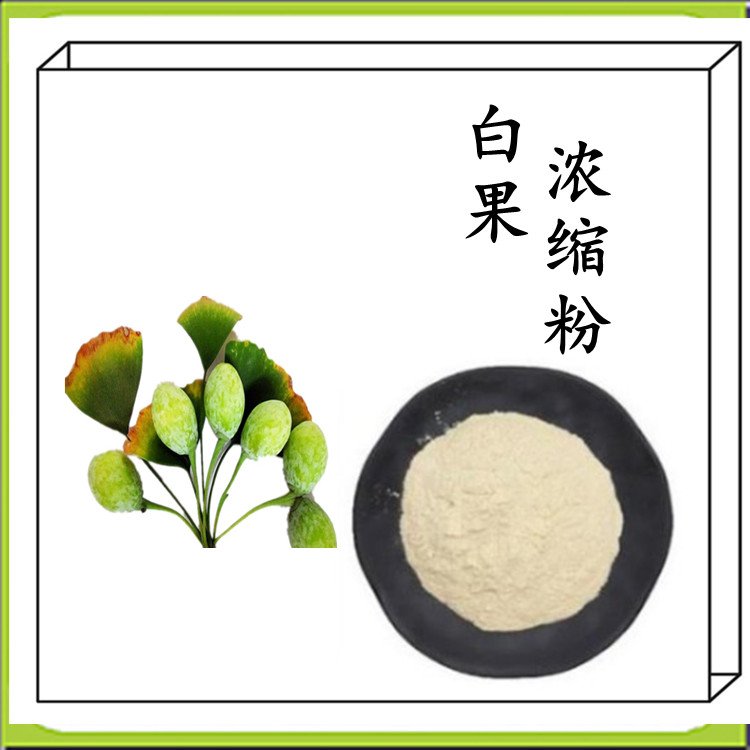 白果仁浓缩粉 支持拿样 规格齐全 随货带报告