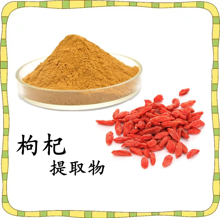 枸杞提取物 植物萃取 粉末均匀 源头把控 库存充足