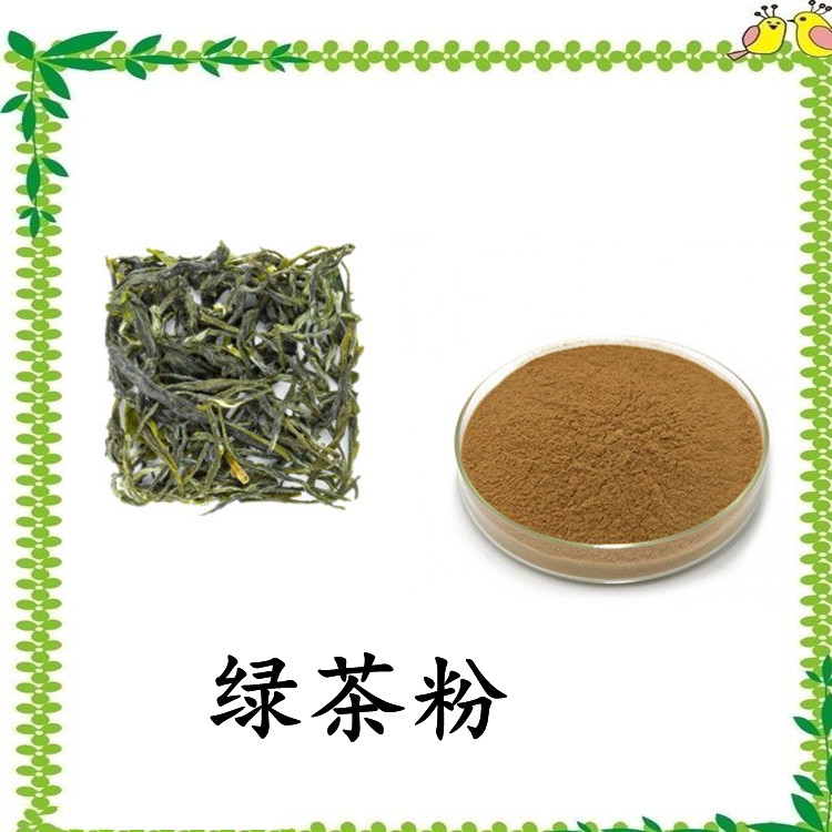 绿茶粉 斯诺特生物自产自销  规格多种 长期供应 可定制