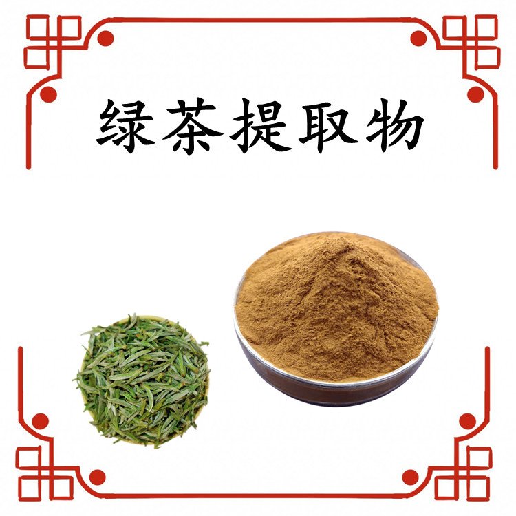 绿茶提取物 斯诺特生物 源头厂家 1kg起订 含税含运