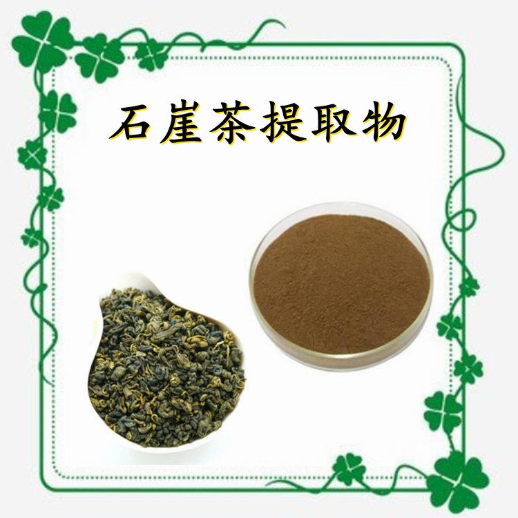 斯诺特生物 石崖茶提取物 粉末流动性好 可发样品
