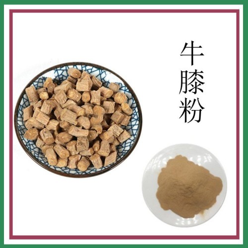 牛膝粉 牛膝提取物 精选原料 规格齐全 长期供应