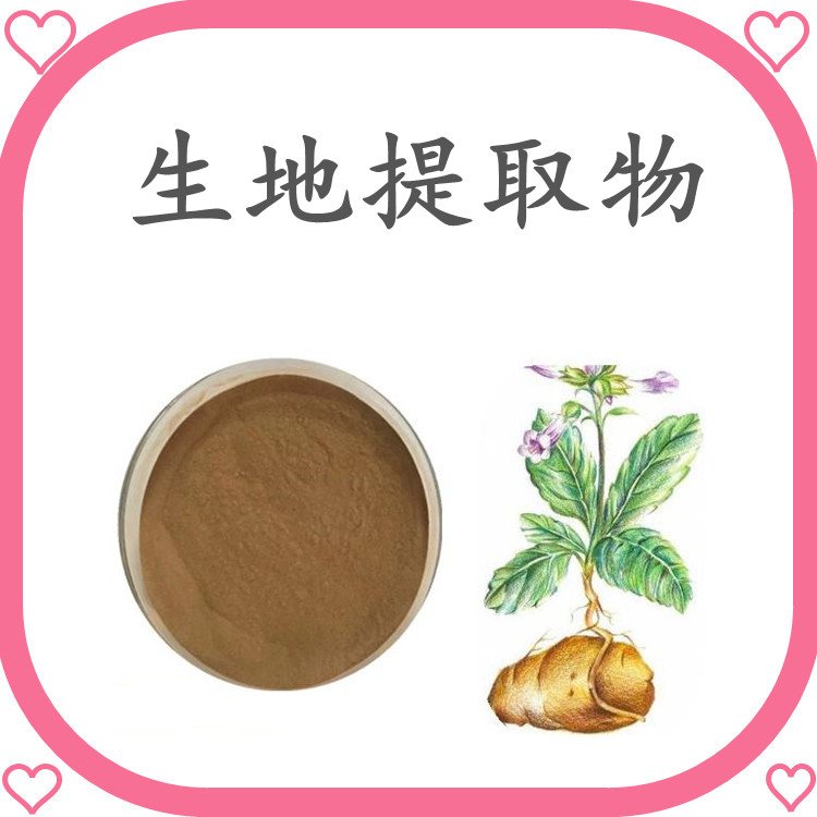 生地提取物 浓缩粉末 无肉眼可见杂质 随货带报告