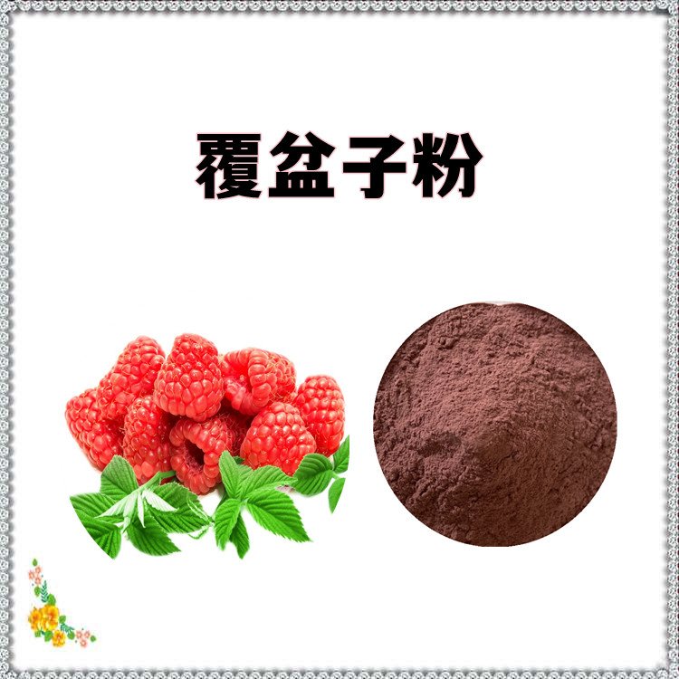 覆盆子粉 源头厂家 规格多种 资质齐全 纸板桶包装