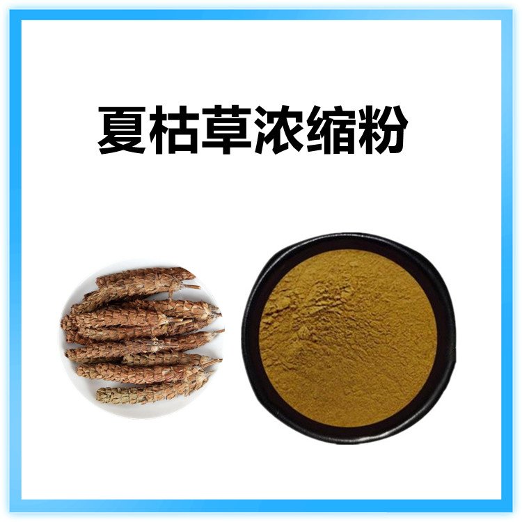 夏枯草浓缩粉 现货包邮 随货带报告 免费拿样 含税含运