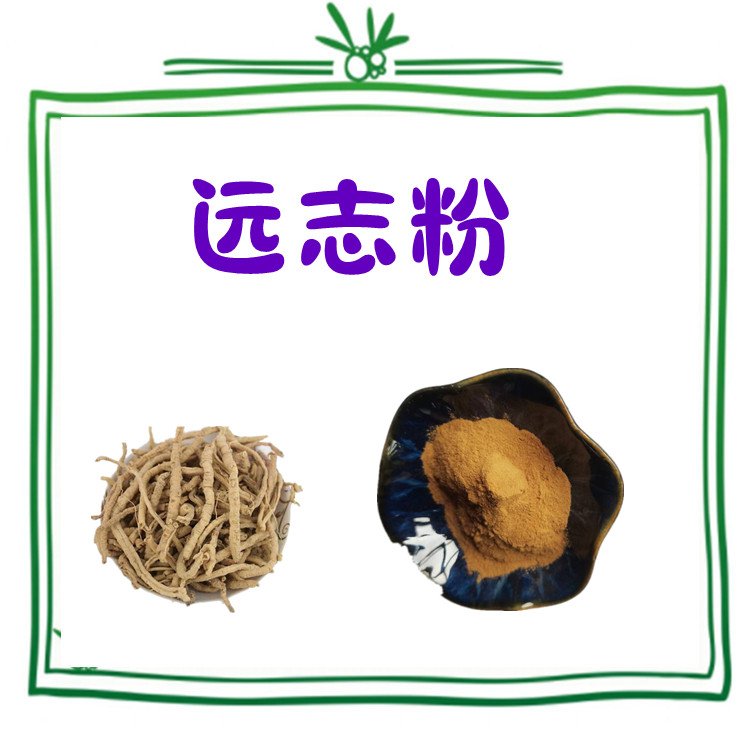 远志粉 斯诺特生物 植提厂家品质优良 库存充足