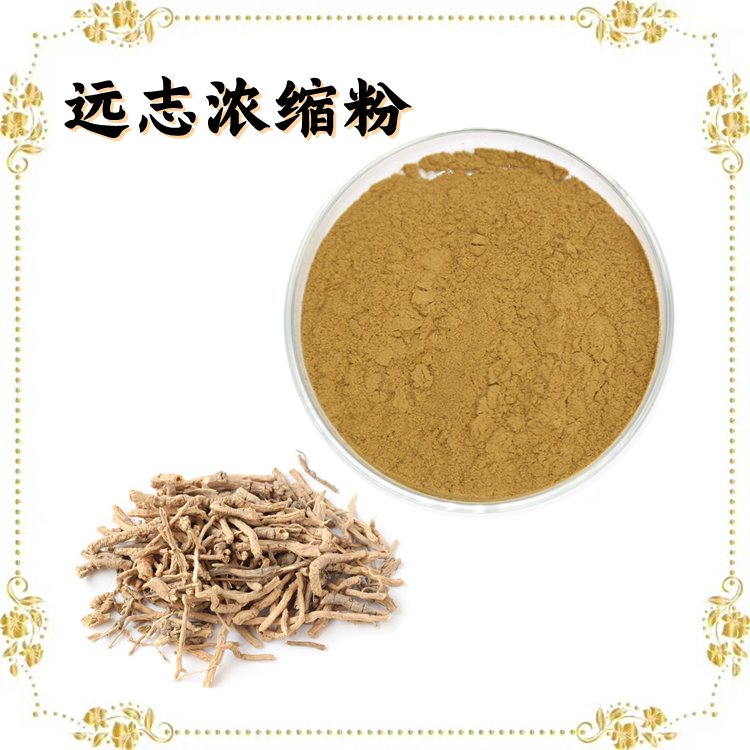 远志浓缩粉 远志提取物 多规格浓缩萃取 可按需定制