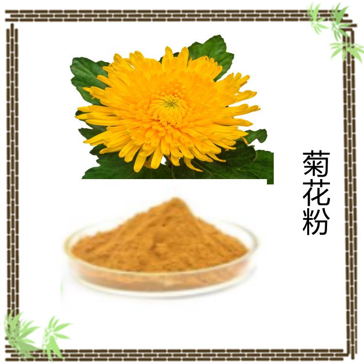 斯诺特生物 菊花粉 菊花提取物 多规格浓缩萃取 长期供应