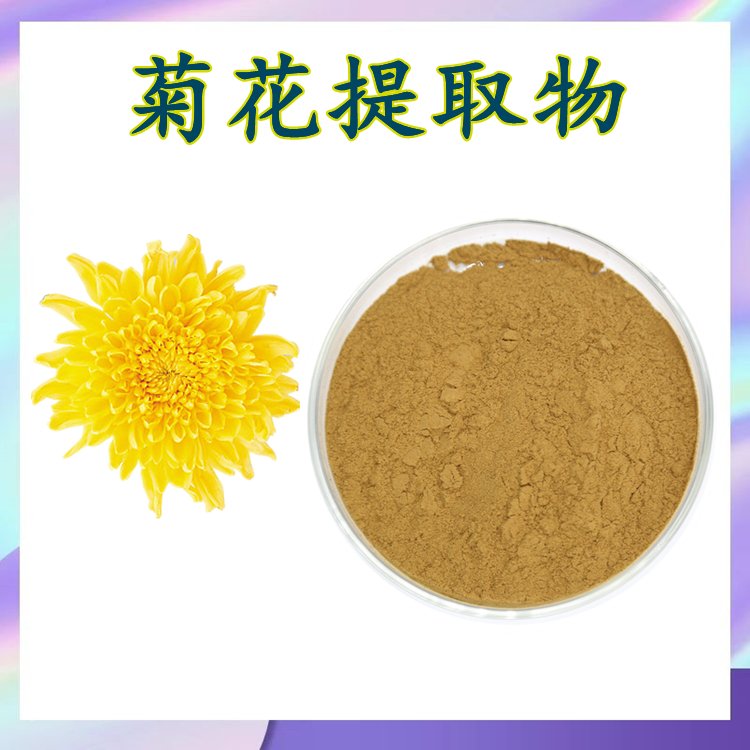 菊花提取物 精选原料 植物萃取 源头供应 库存充足