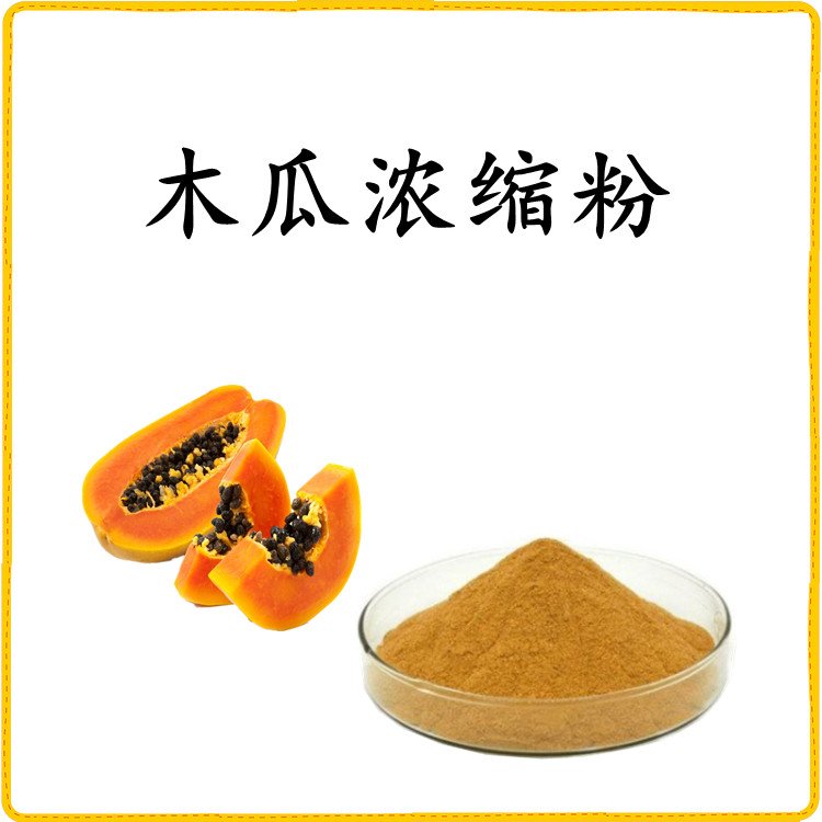 木瓜浓缩粉 多种规格 品质优良 库存充足 纸板桶包装
