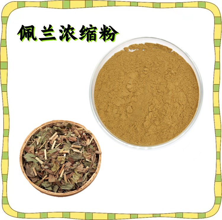 斯诺特生物 佩兰浓缩粉 源头厂家 资质齐全 库存充足