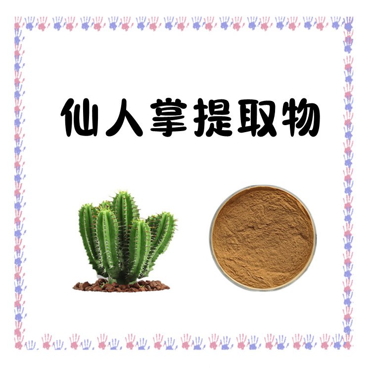仙人掌提取物 SC认证 浓缩粉末 全水溶无结块 包邮