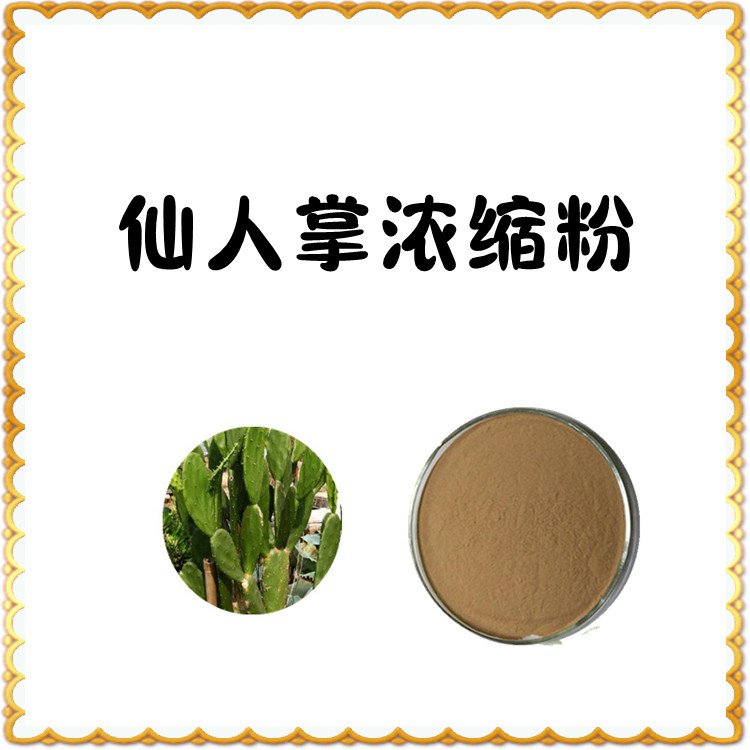仙人掌浓缩粉 不添加任何防腐剂 浓缩粉末 品质优良
