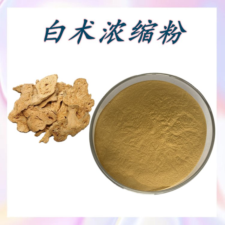 白术浓缩粉 斯诺特生物 10余年植提经验 支持拿样